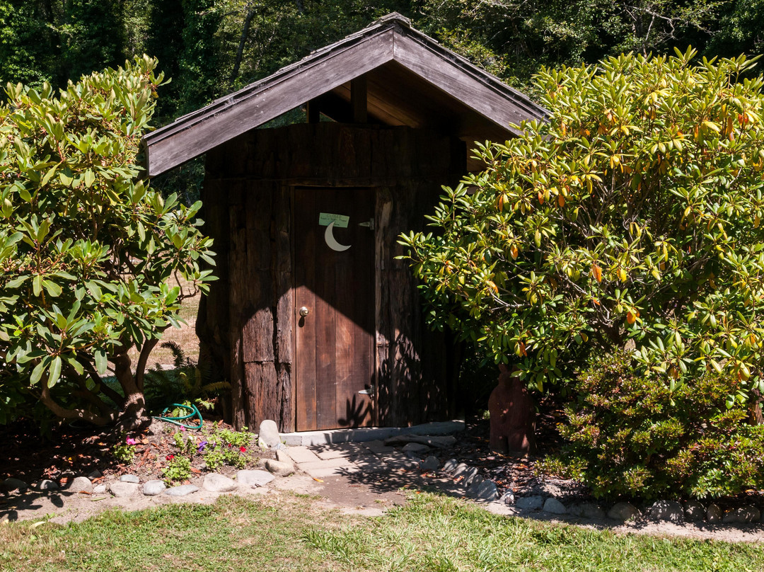 Tour-Through Tree-克拉马斯必去景点