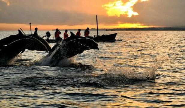 Balidewa Vacation - Day Tours-坦帕克西林必去景点