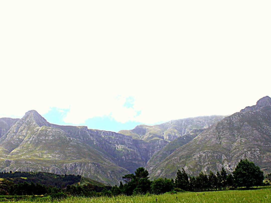 Wilderbraam Berry Estate-斯韦伦丹必去景点