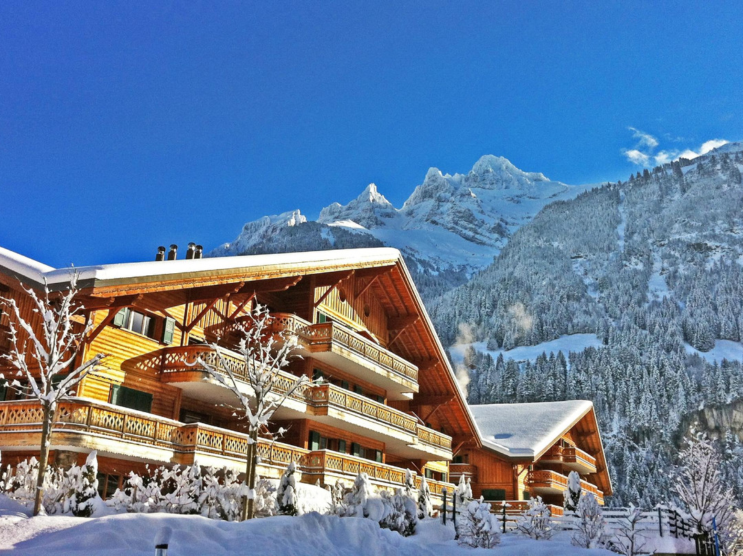 The Lodge