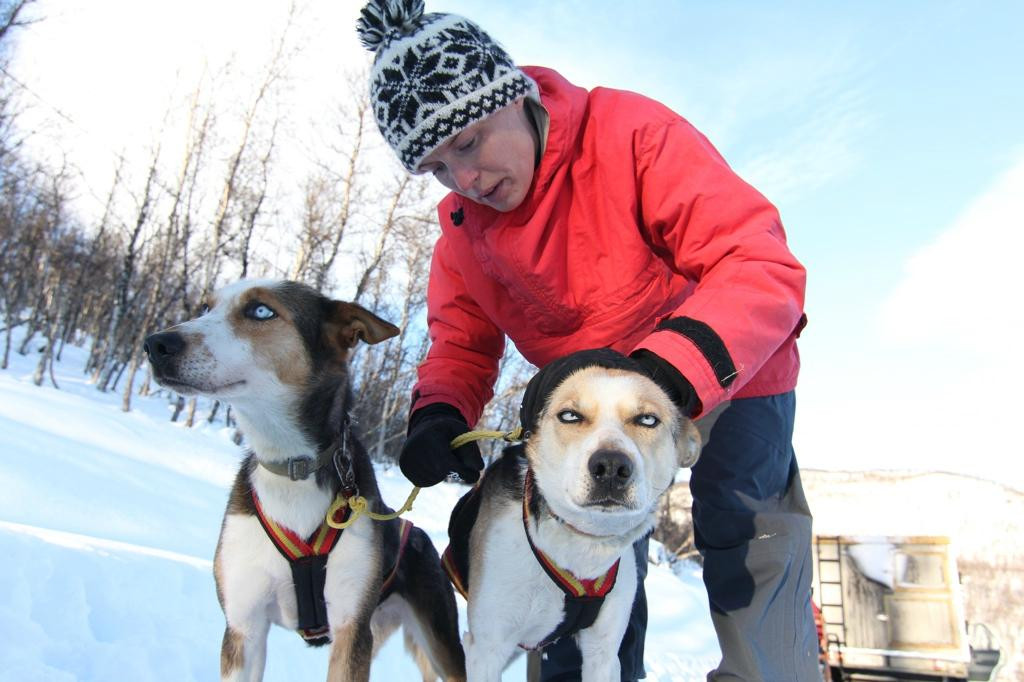 Geilo Husky Day Tours-耶卢必去景点