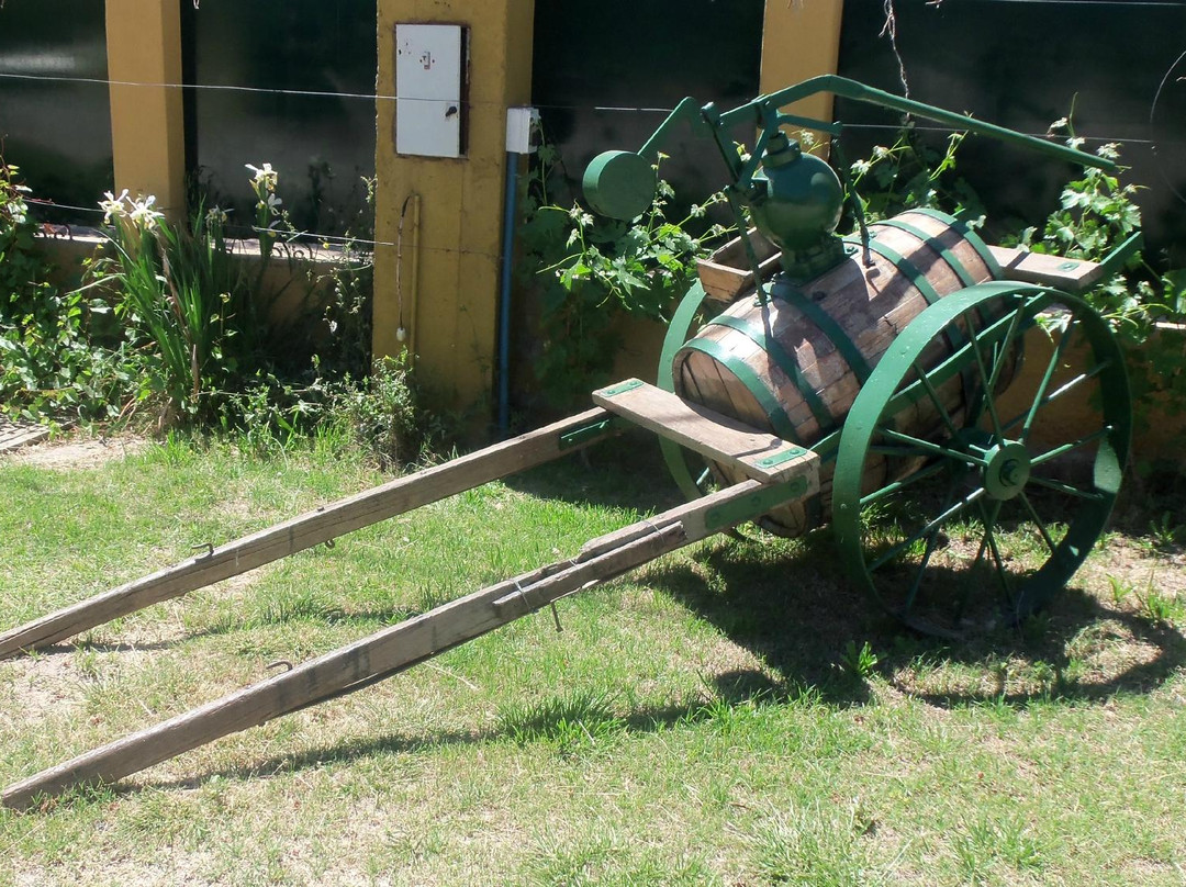 Bodega Stocco de Viani-Maipu必去景点