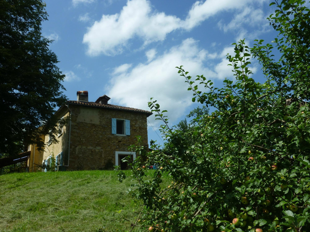 Sainte-Croix-Volvestre酒店住宿-Les Moureous
