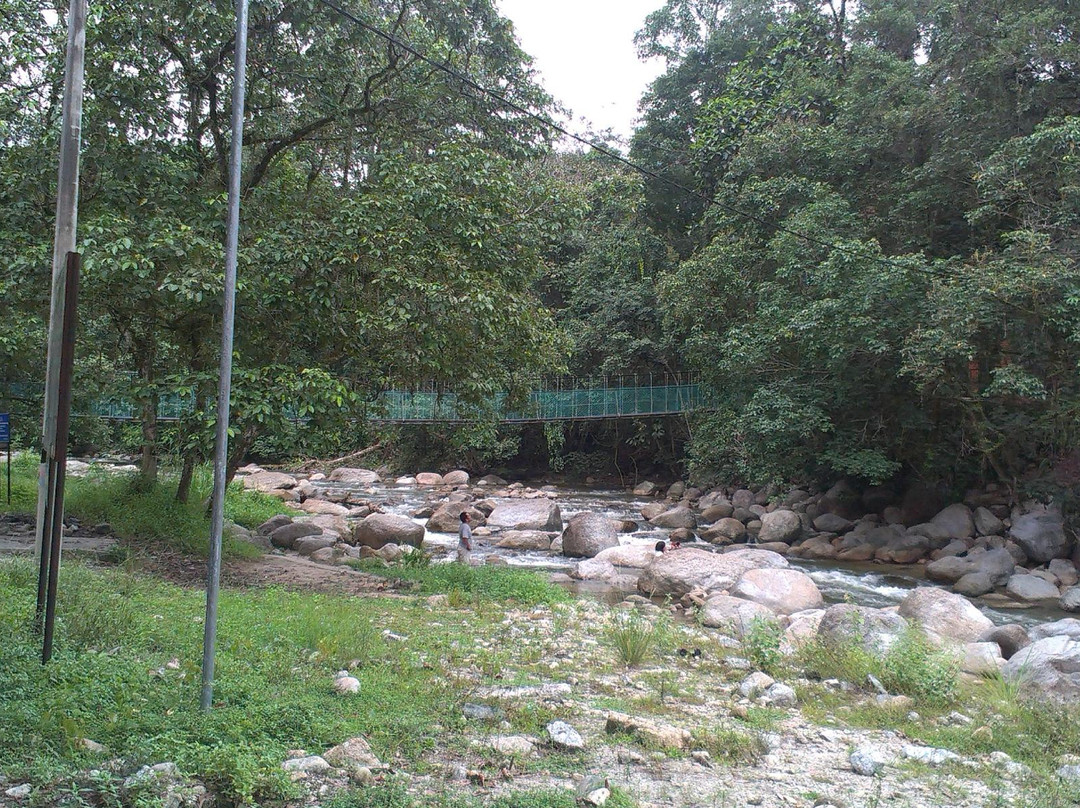 Kuala Woh Recreational Forest景点图片