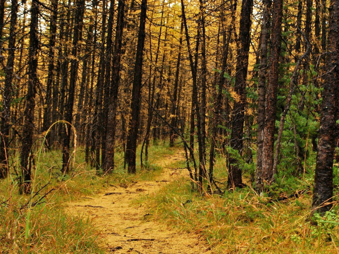 Valley of the Ten Peaks-班夫国家公园必去景点
