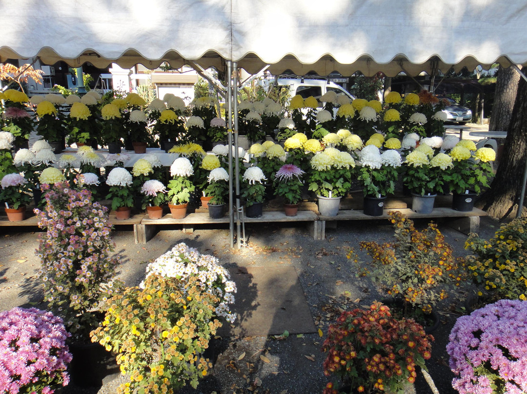 Enmeiji-武藏野市必去景点