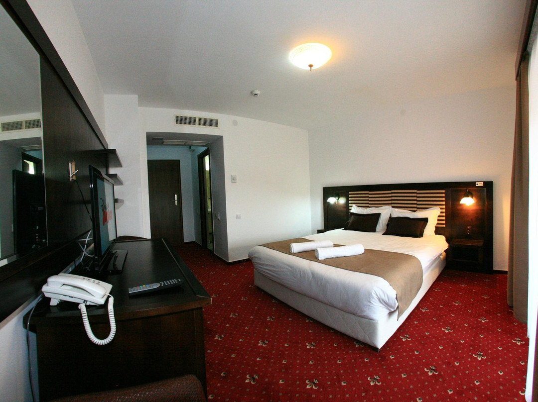 Pensiunea Clasic主图