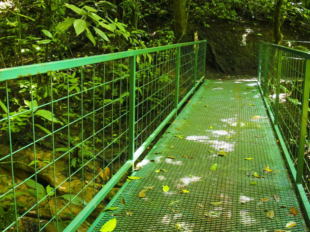 Mistico Arenal Hanging Bridges Park景点图片