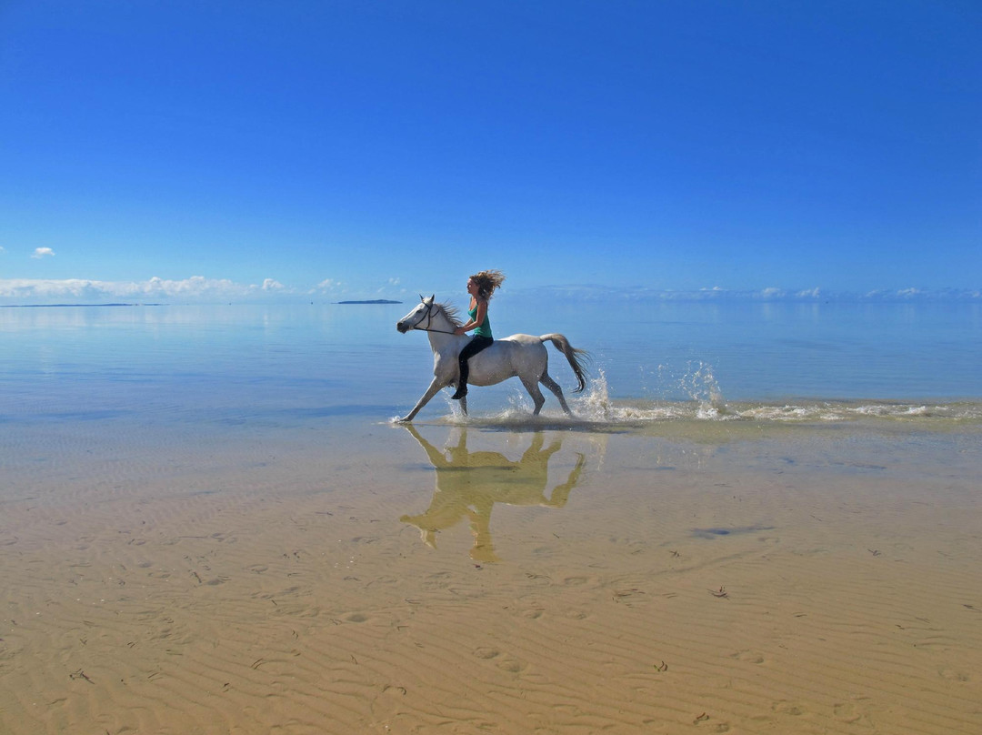 Mozambique Horse Safari景点图片