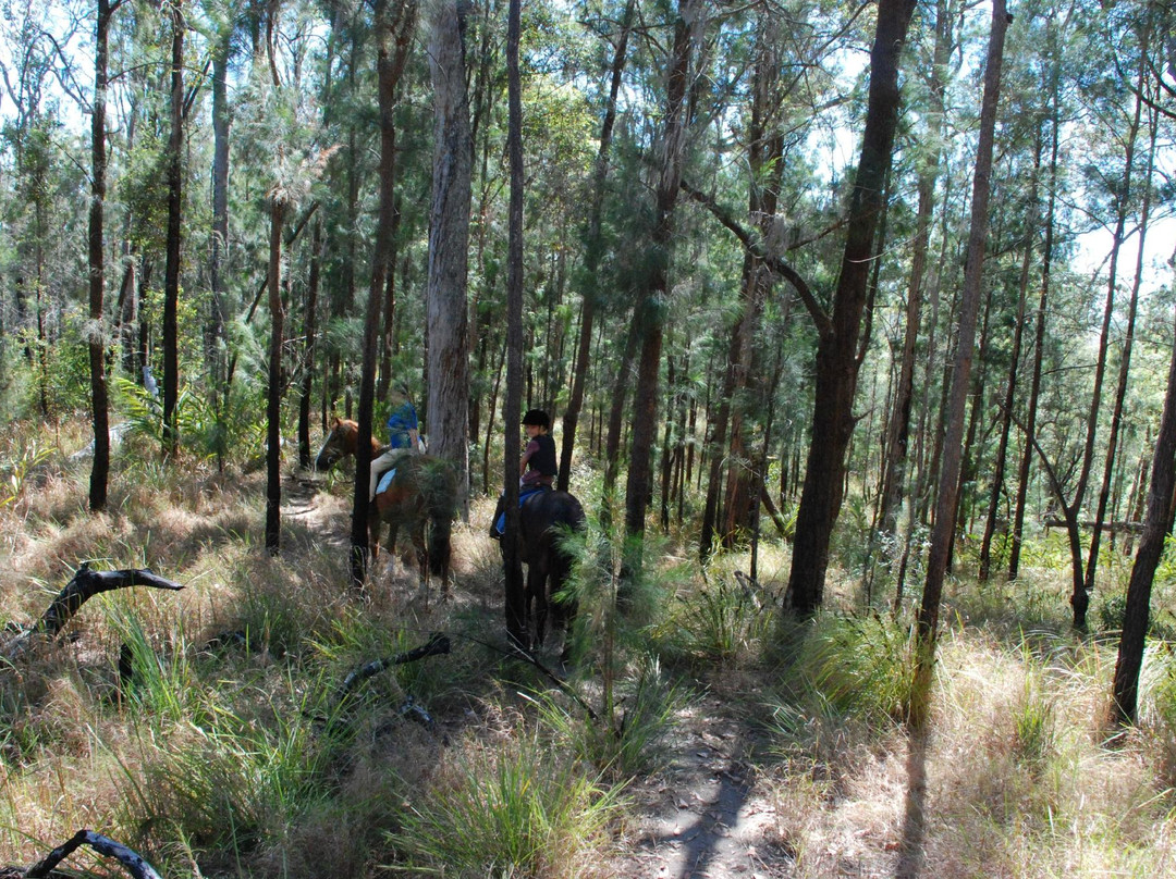 Tait's Wongabel Stables- 阿瑟顿必去景点