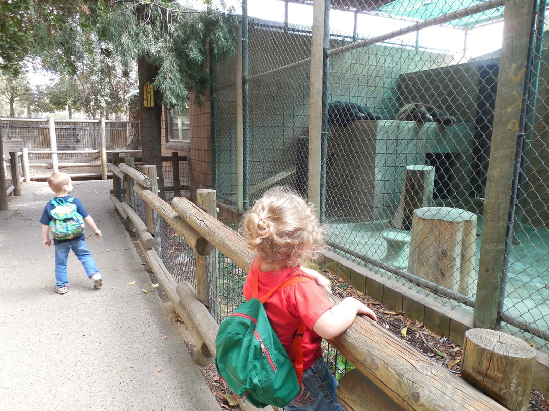 Applegate Park Zoo-默塞德必去景点