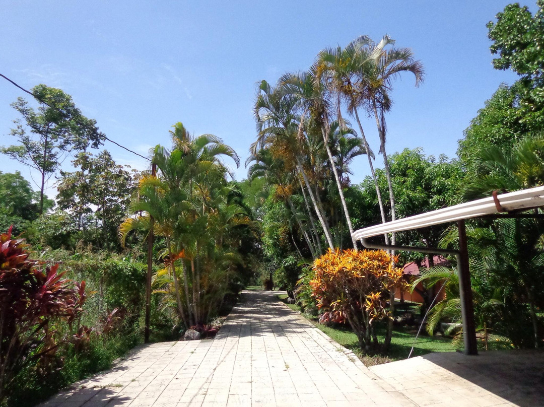 Norma's Villas