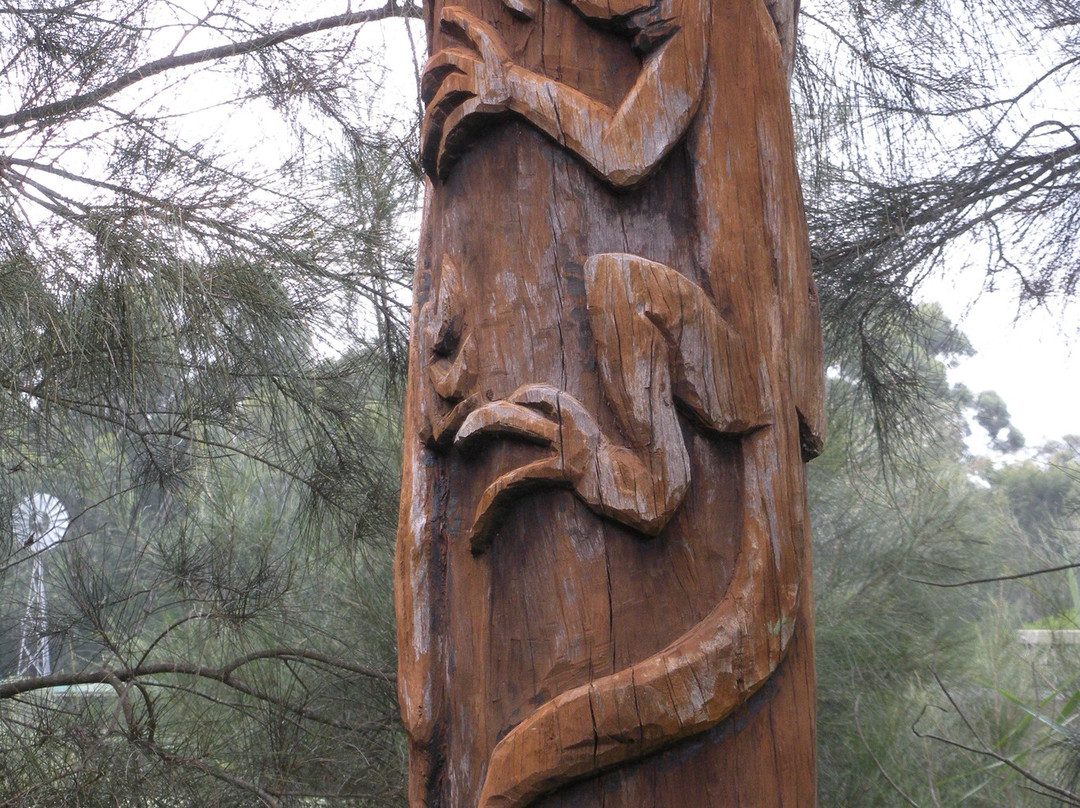 Hunter Wetlands Centre景点图片
