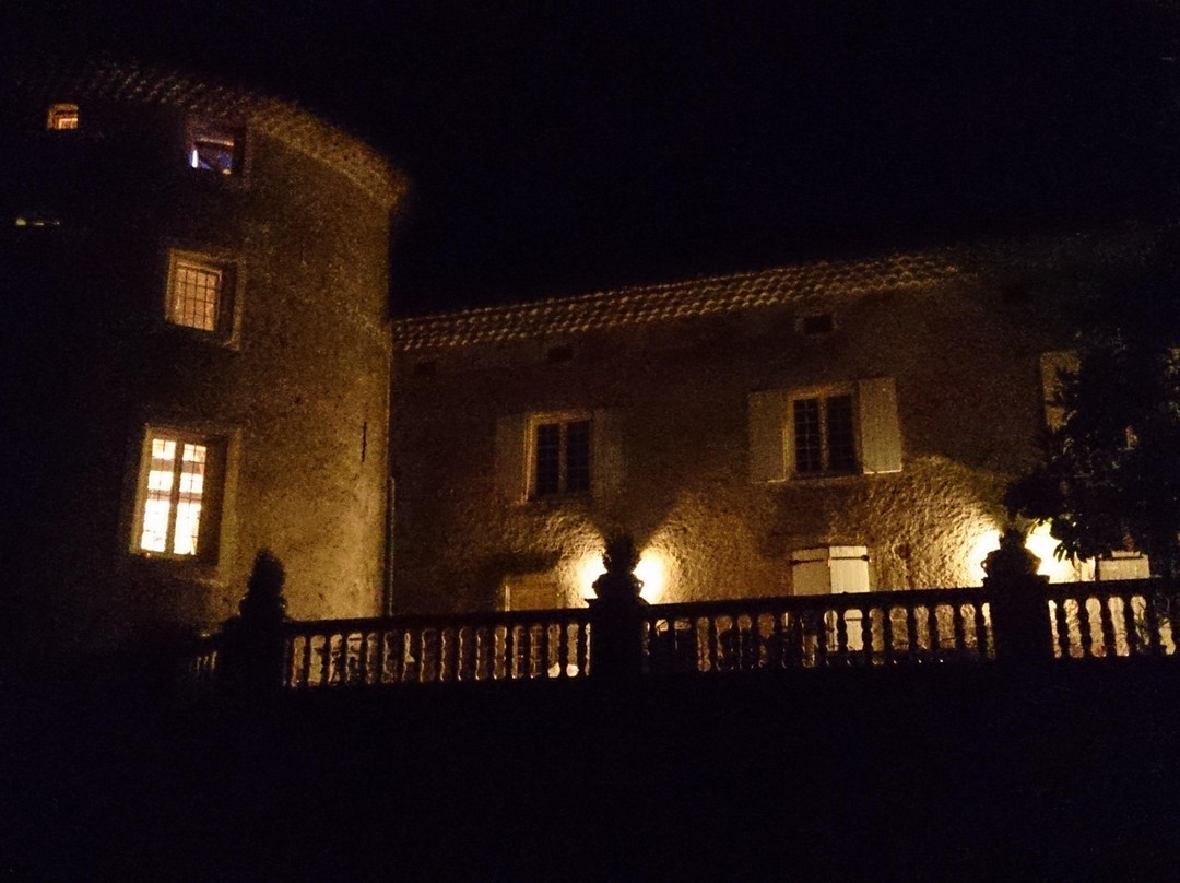 Chateau de Mauras主图