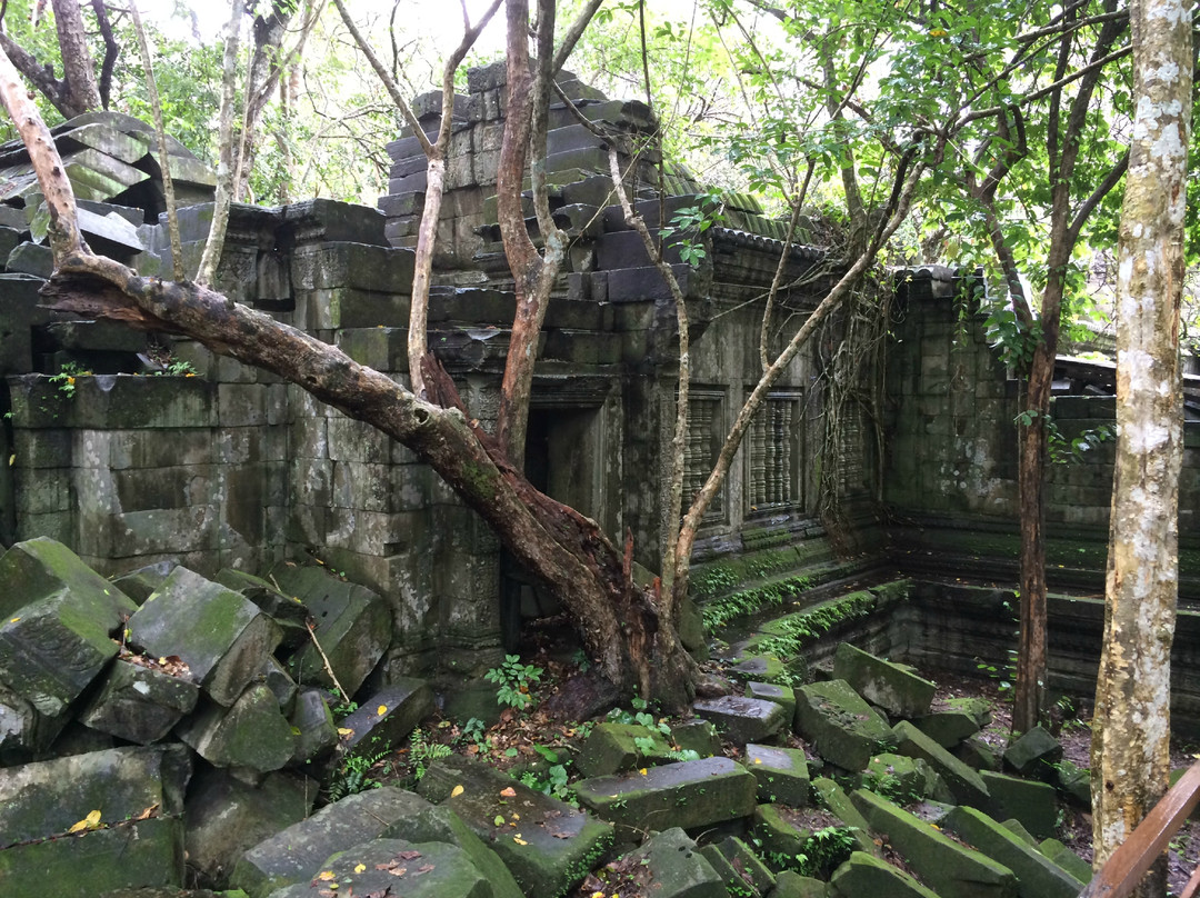 Angkor Excellent Driver景点图片
