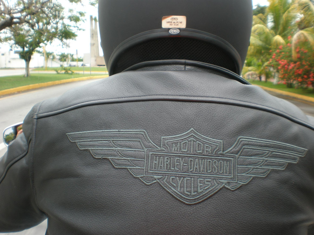 Harley-Davidson Motorcycle景点图片