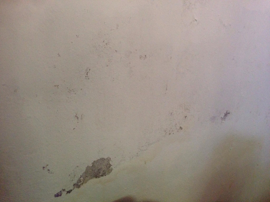 Hacienda Santa Ana主图