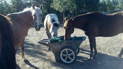 Sage Meadow Ranch-温泉城必去景点