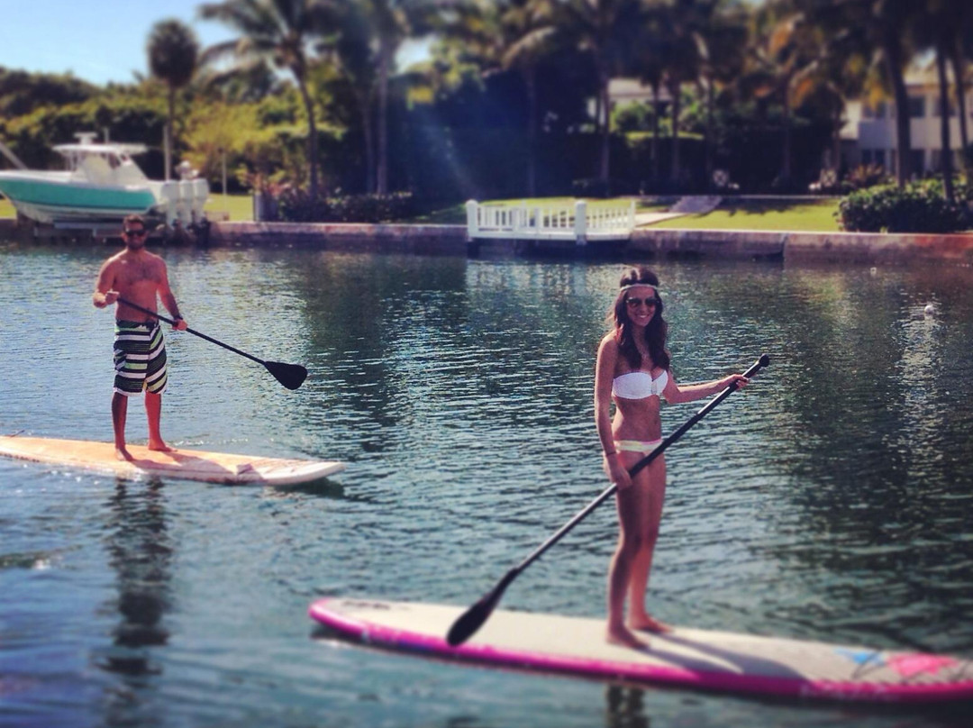 The Kite Farm-比斯坎湾必去景点