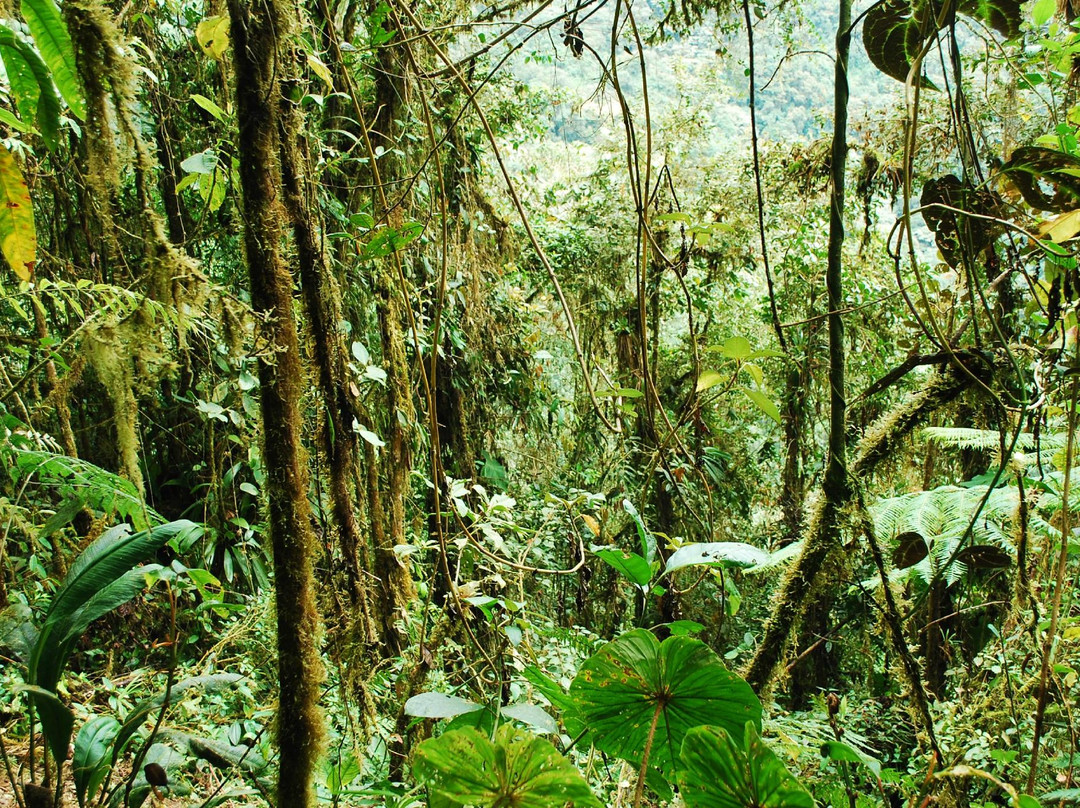 Pacha Quindi Nature Refuge景点图片