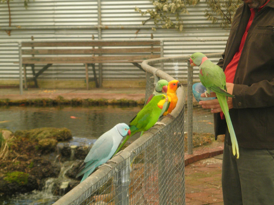 The Old Marron Farm-奥尔巴尼必去景点