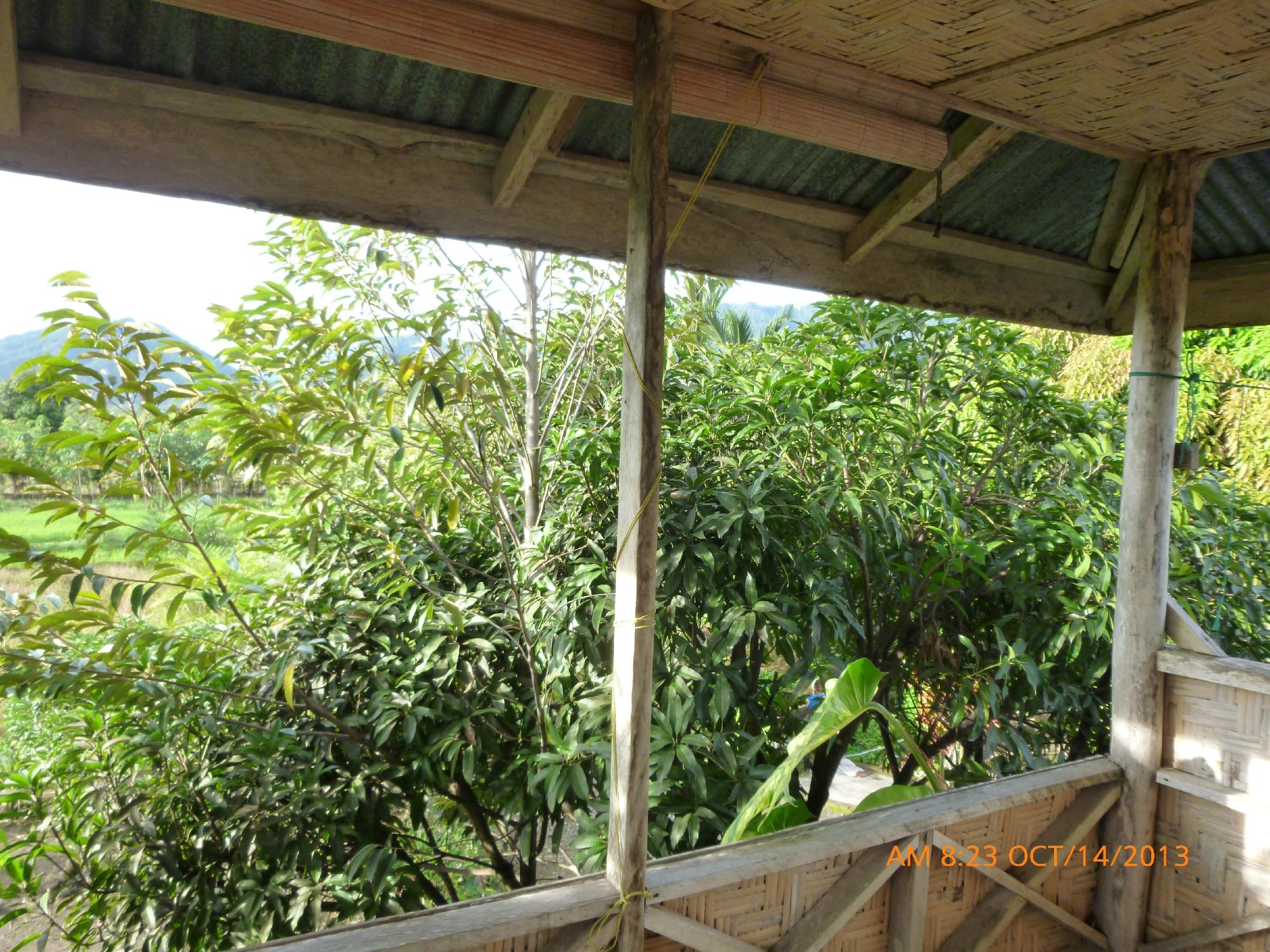 Wanda's Homestay-酒店景观