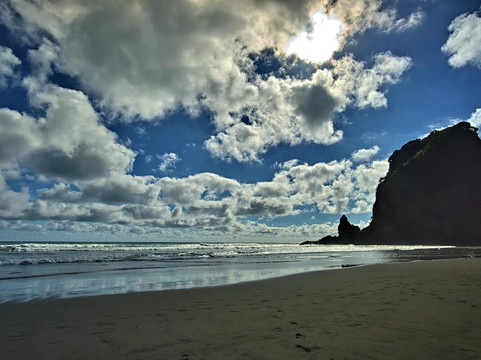 丛林海滩观光之旅-奥克兰中心地区必去景点