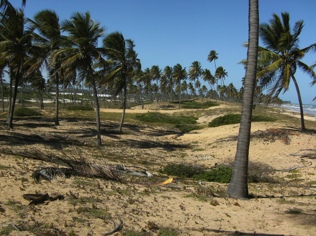 Praia de Santo Antonio景点图片