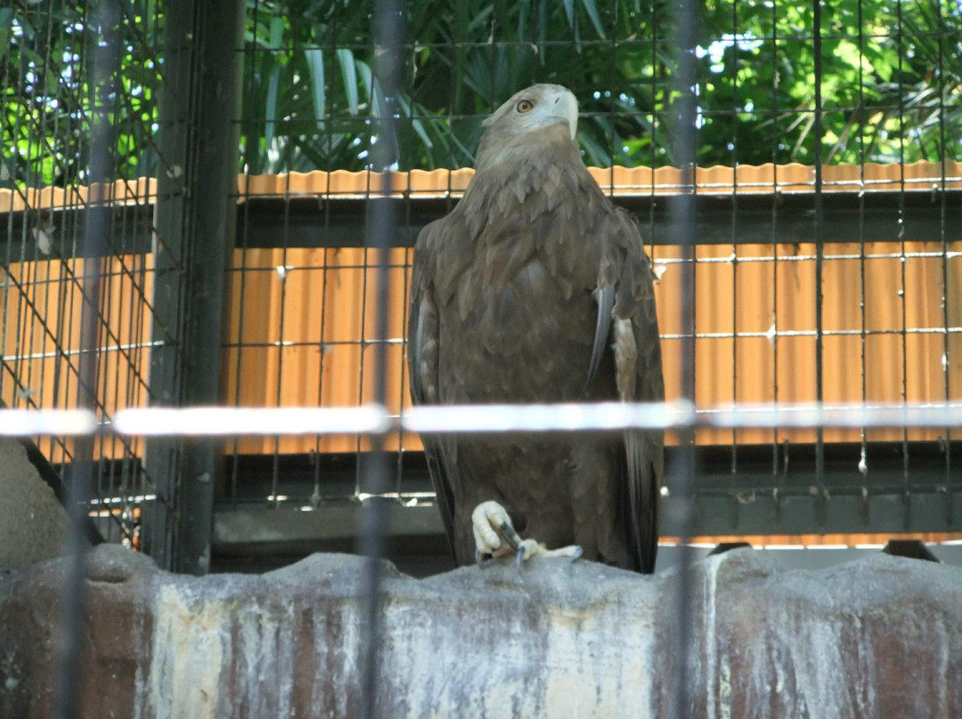 天王寺动物园-大阪市必去景点