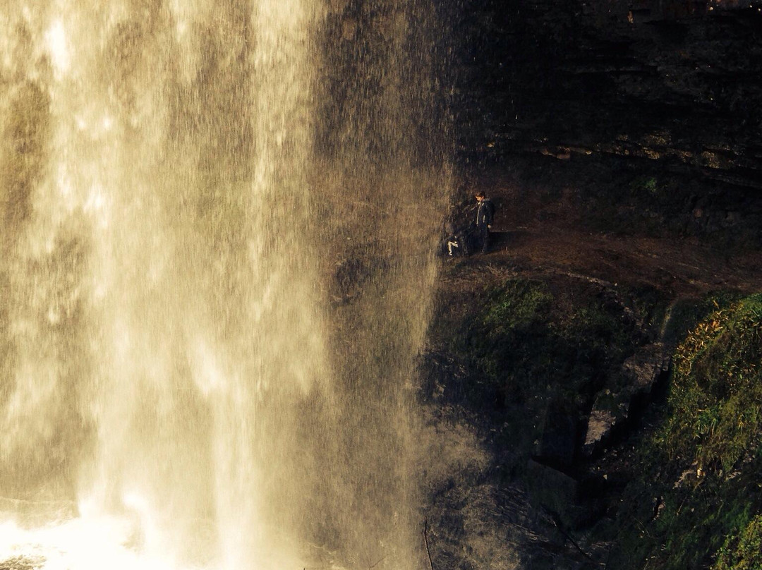 Henrhyd Falls景点图片