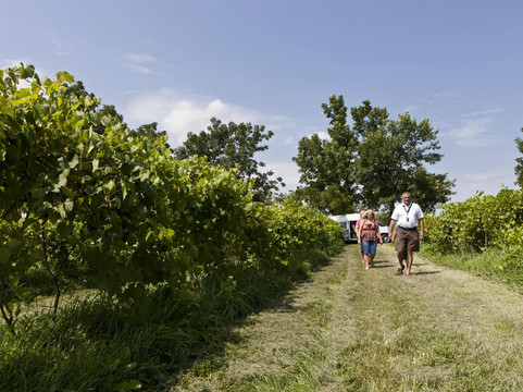 Evanston Cellars -  Wine Trail Tours-芝加哥必去景点