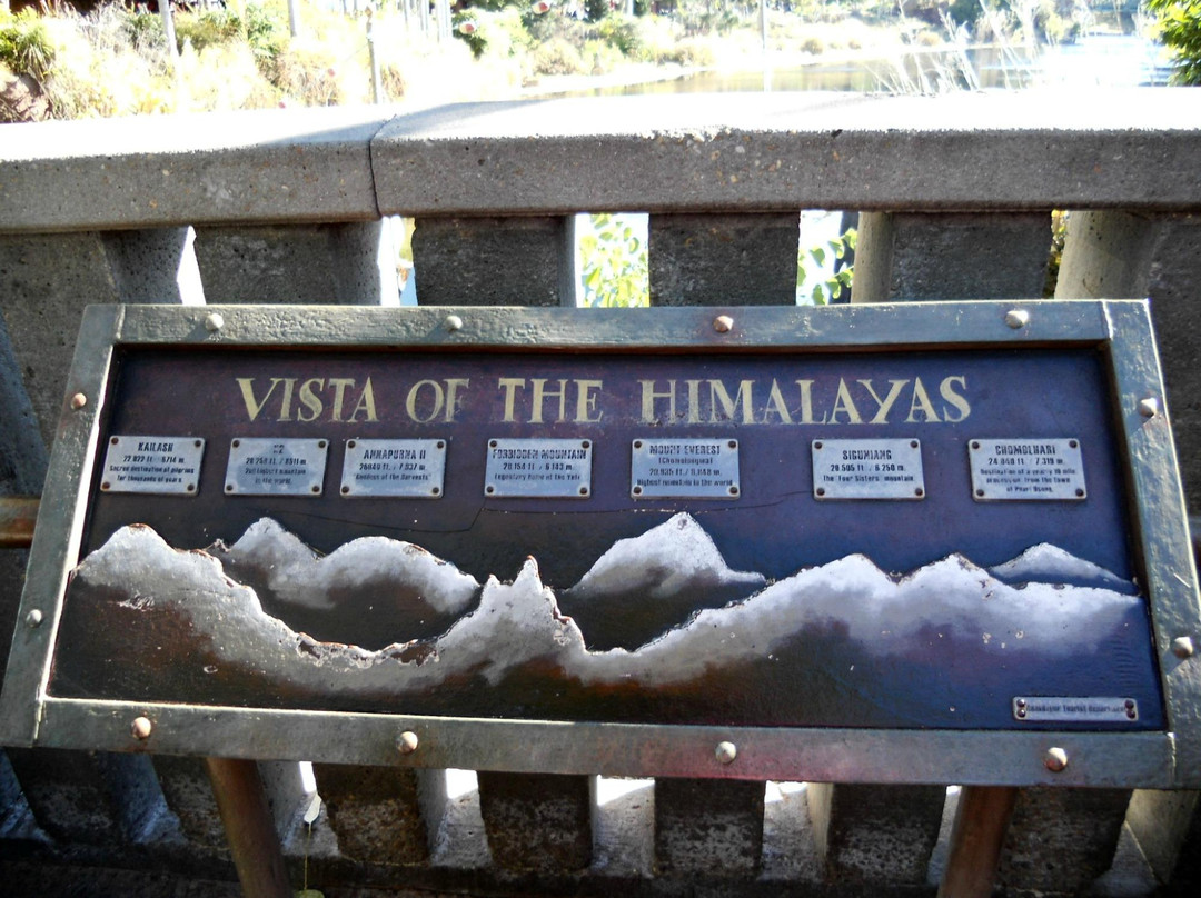 迪斯尼动物王国-奥兰多必去景点