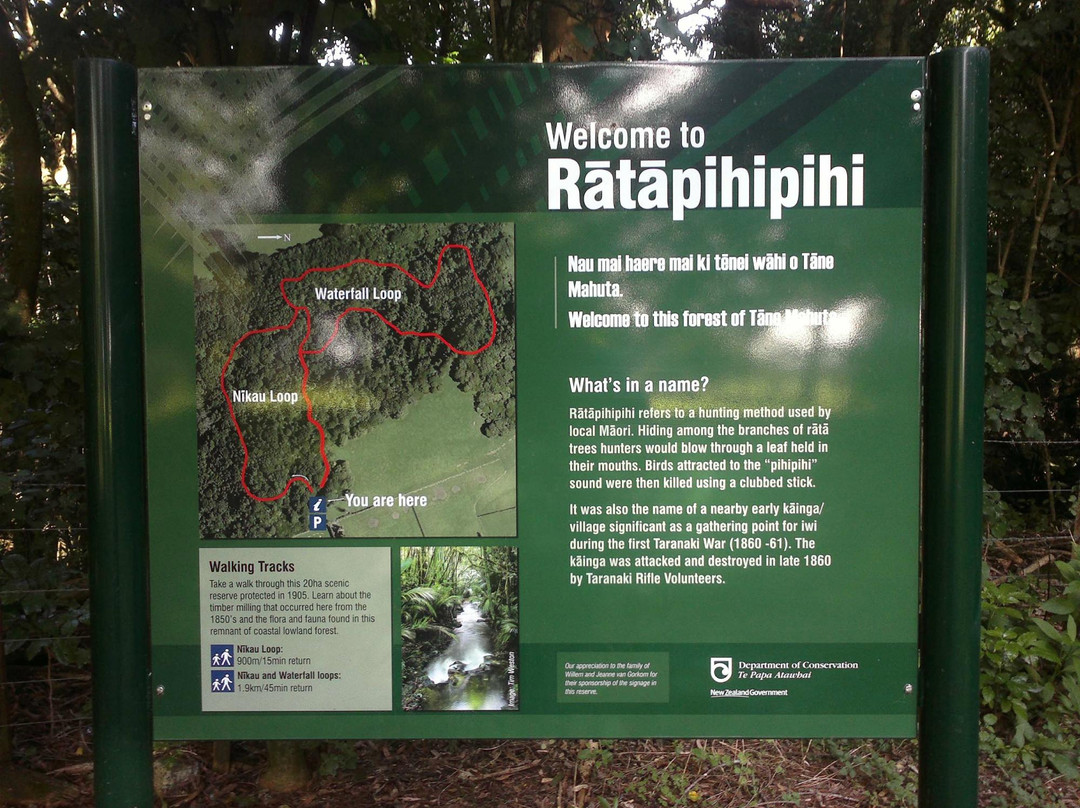Ratapihipihi Scenic Reserve Walk-新普利默斯必去景点