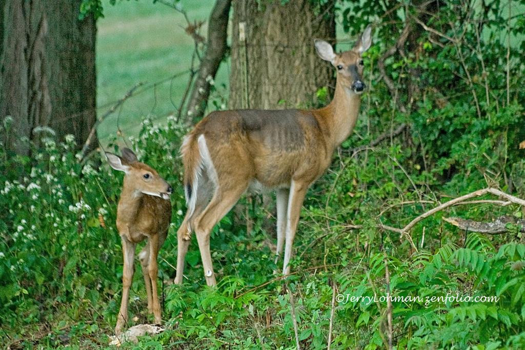 Side Cut Metropark-莫米必去景点