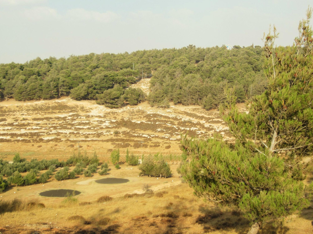 Bisharat Golf Course-安曼必去景点