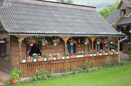 Agriturismo Petreus Irina主图