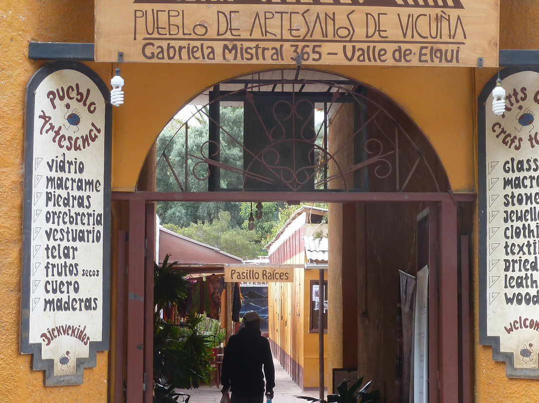 Pueblo de artesanos de Vicuña景点图片