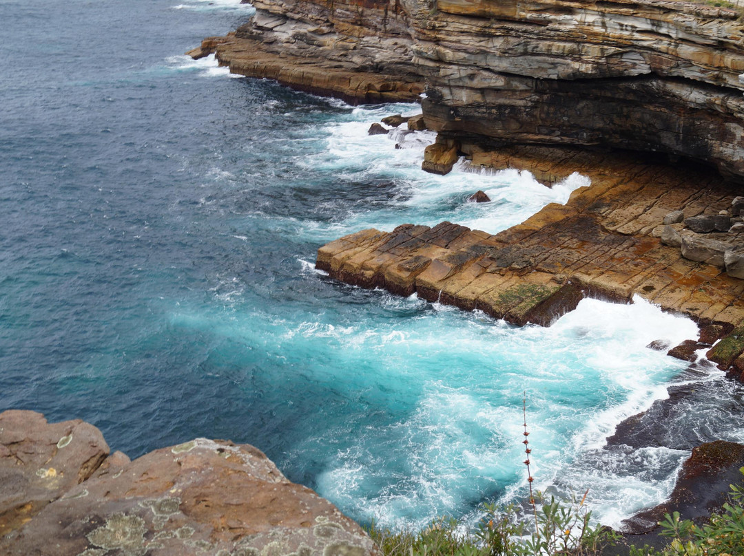 华特森海湾-悉尼必去景点