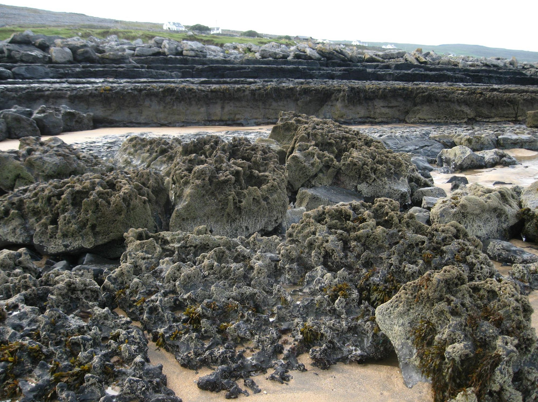 The Burren National Park景点图片