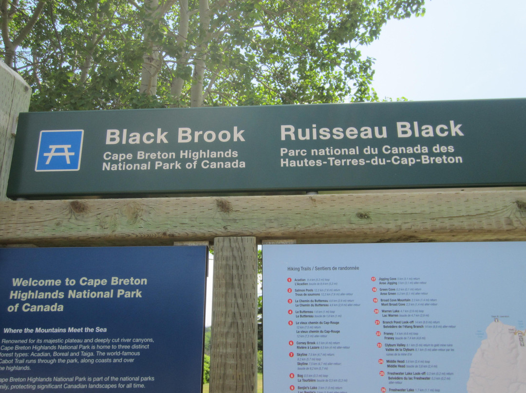 Black Brook Beach景点图片