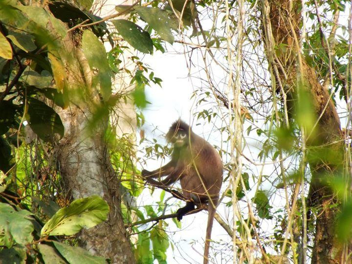 Rema-Kalenga Wildlife Sanctuary-锡尔赫特必去景点