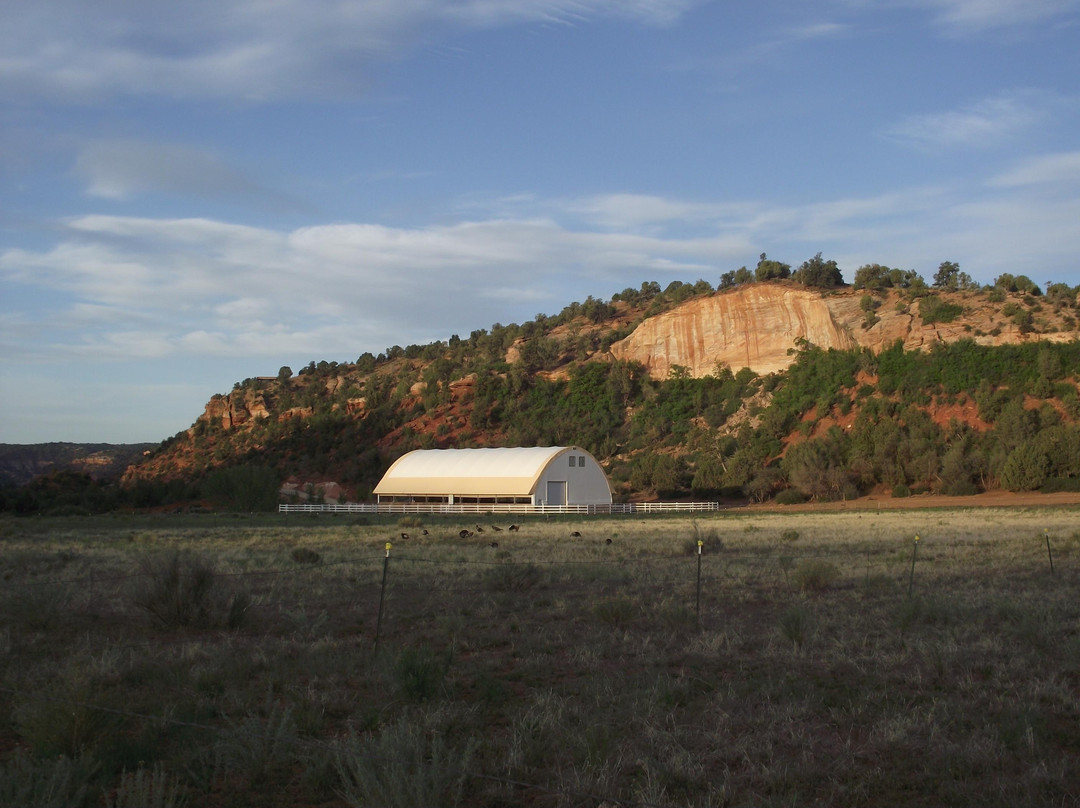 Best Friends Animal Sanctuary-卡纳布必去景点