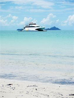 Reefstar Cruises-艾尔利滩必去景点