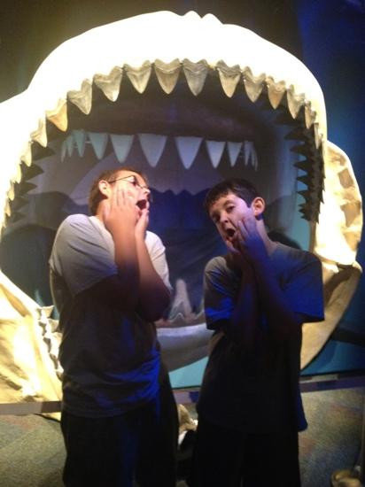 Museum of Science and Industry-坦帕必去景点