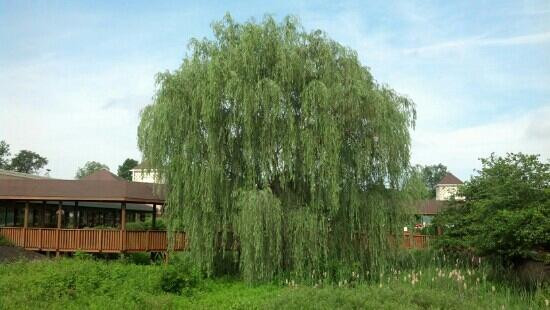 Grove City Premium Outlets景点图片