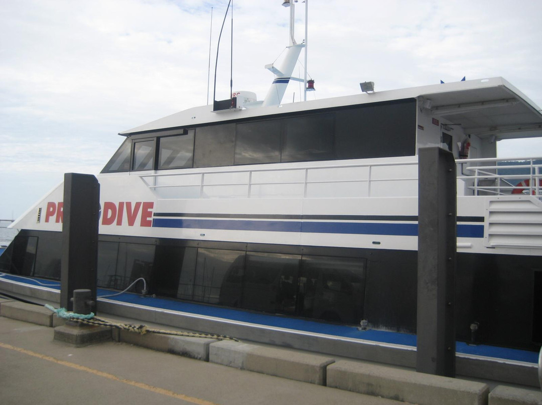 Pro Dive Cairns-凯恩斯必去景点