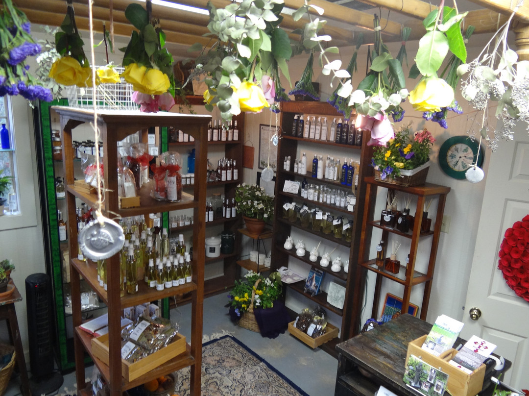 URBANherbal-弗雷德里克斯堡必去景点