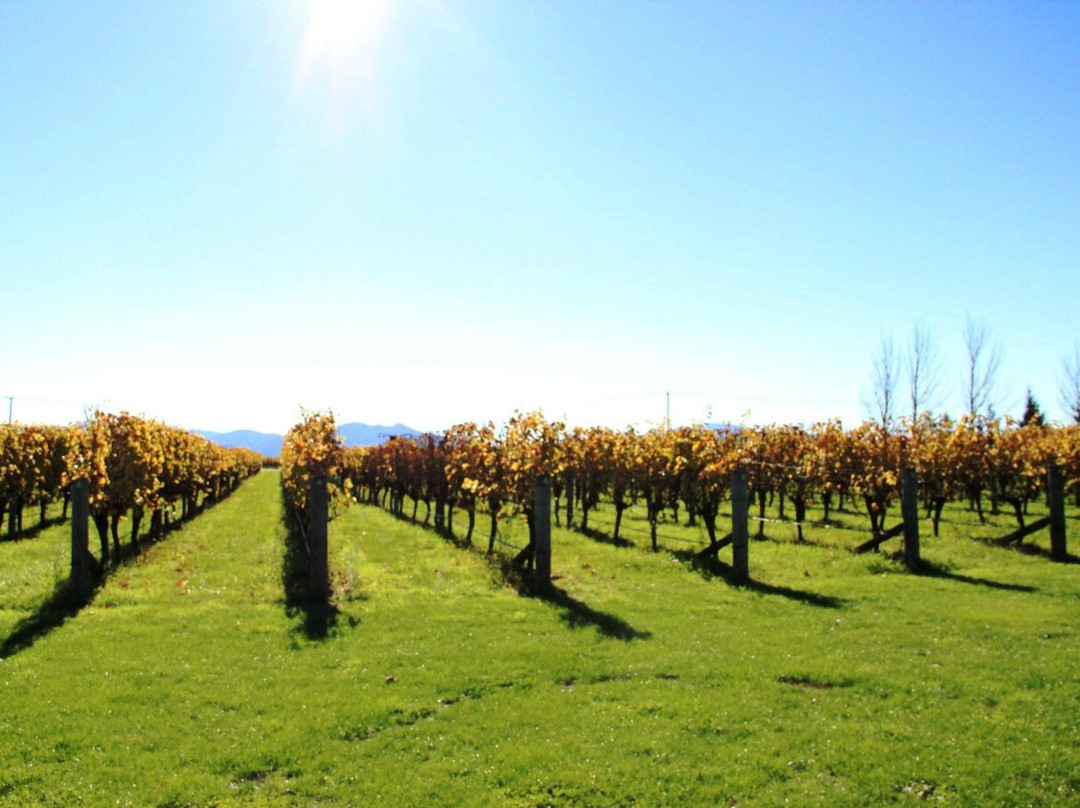 Marlborough Tours景点图片