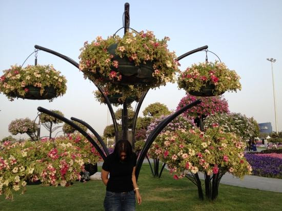 奇迹花园-迪拜必去景点