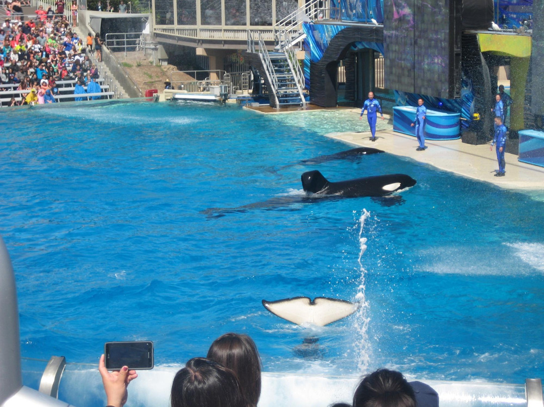 圣地亚哥海洋世界-圣地亚哥必去景点